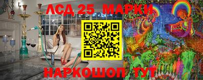 сатива Аргун
