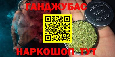 сатива Аргун
